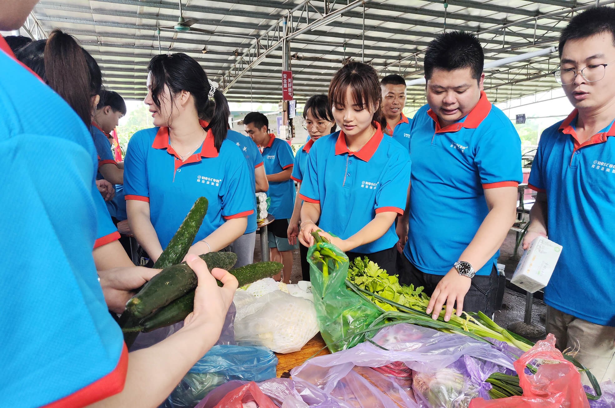 平博·pinnacle(中国集团)官方网站