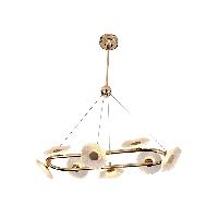 thumb_200_300_62f062434ba58